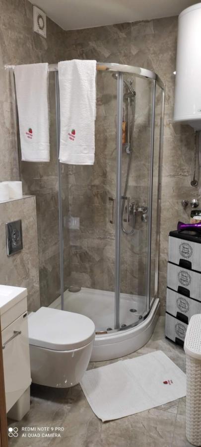 Zlatibor Apartman Jagoda Dış mekan fotoğraf