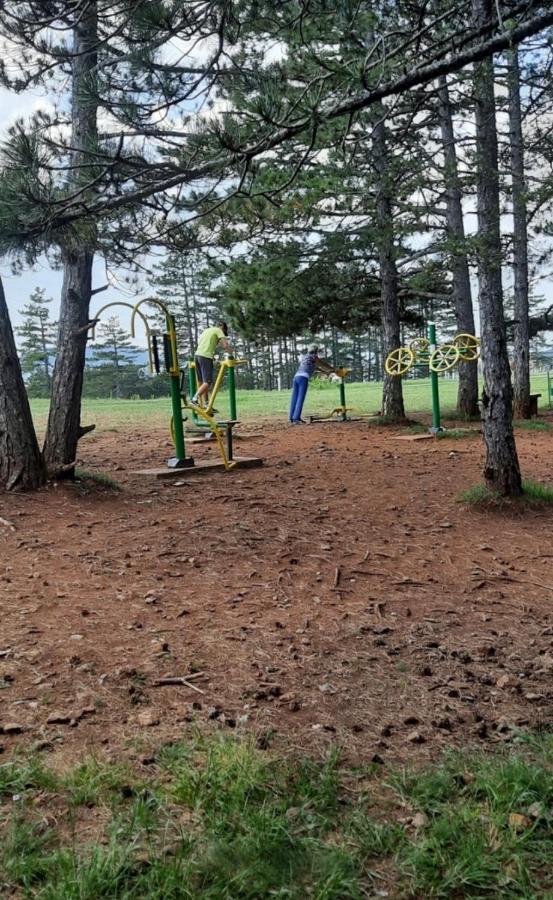 Zlatibor Apartman Jagoda Dış mekan fotoğraf