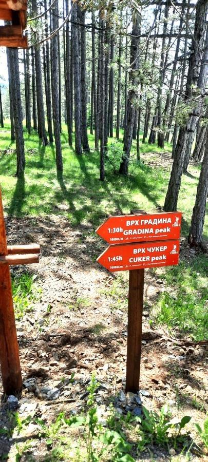 Zlatibor Apartman Jagoda Dış mekan fotoğraf